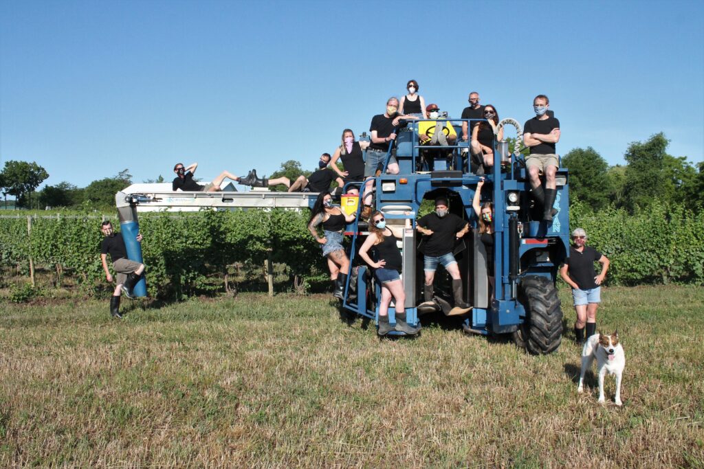 group of winemakers posing on a grape harvester