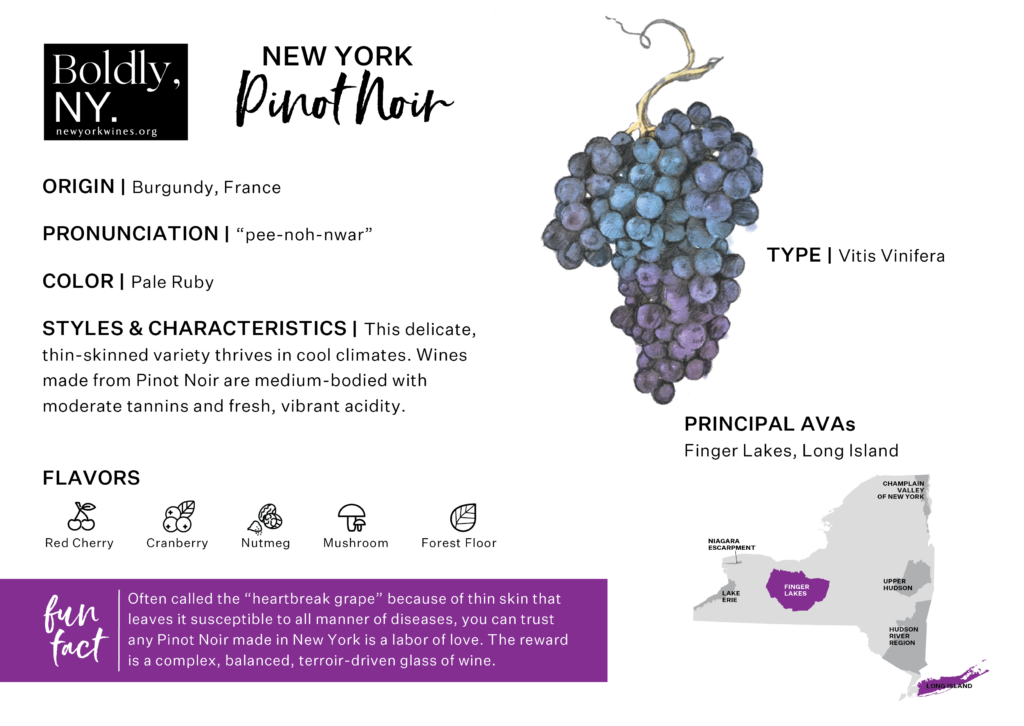 New York State Grapes New York Wines