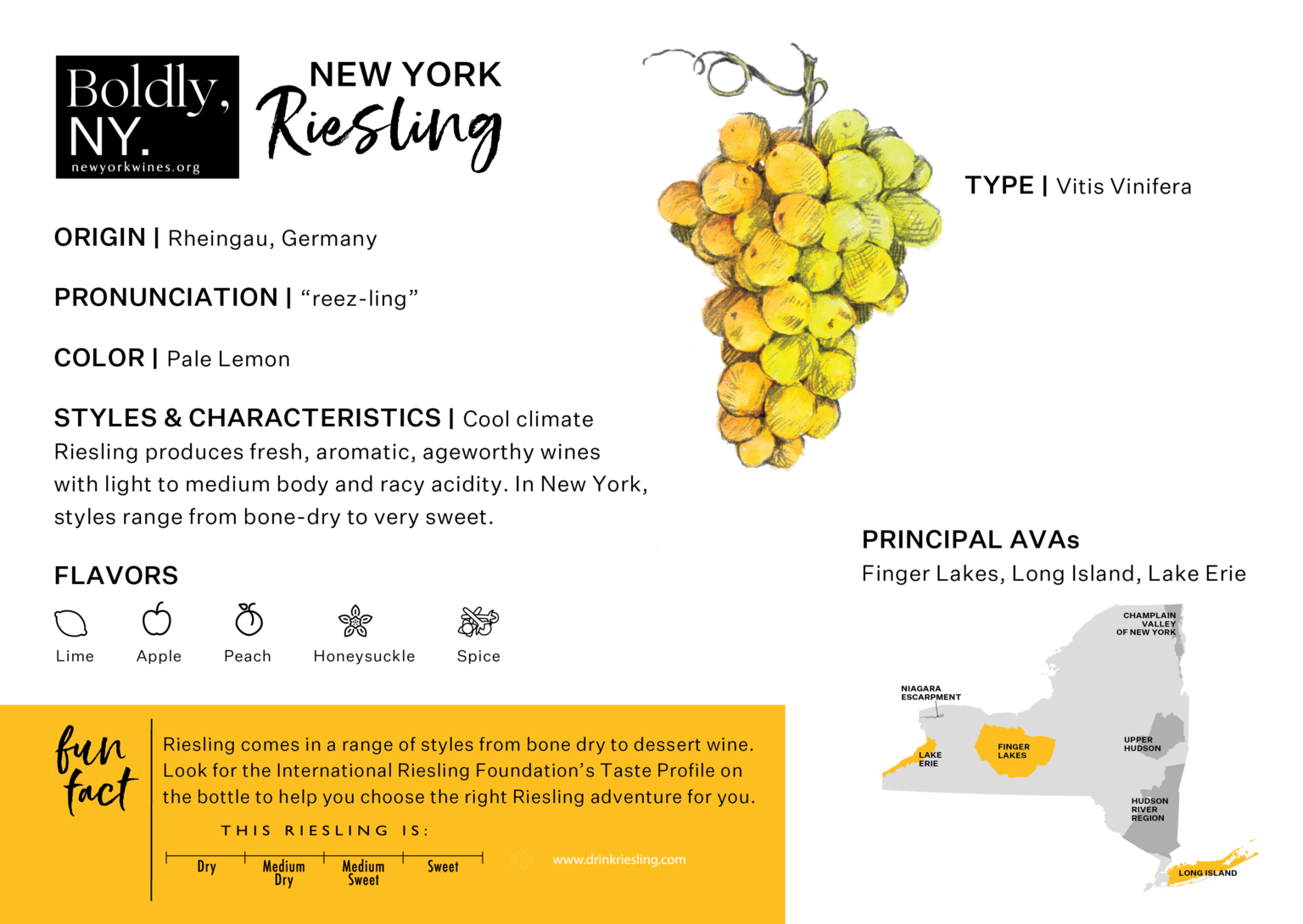 New York State Grapes New York Wines