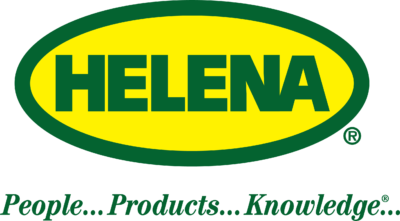 Helena Logo green text on yellow background
