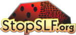 stopslf.org logo