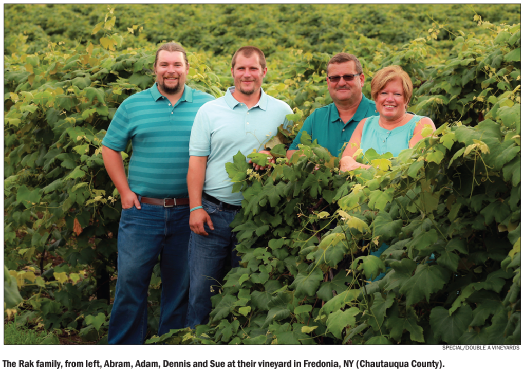 the rak family from left abram adam dennis and sue at their vineyard in fredonia new york chautauqua county