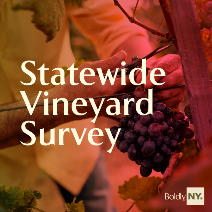 Vineyard Survey 2024 New York Wines   NYWGF 4 700x700 