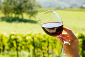 glass of red wine with a vineyard in the background